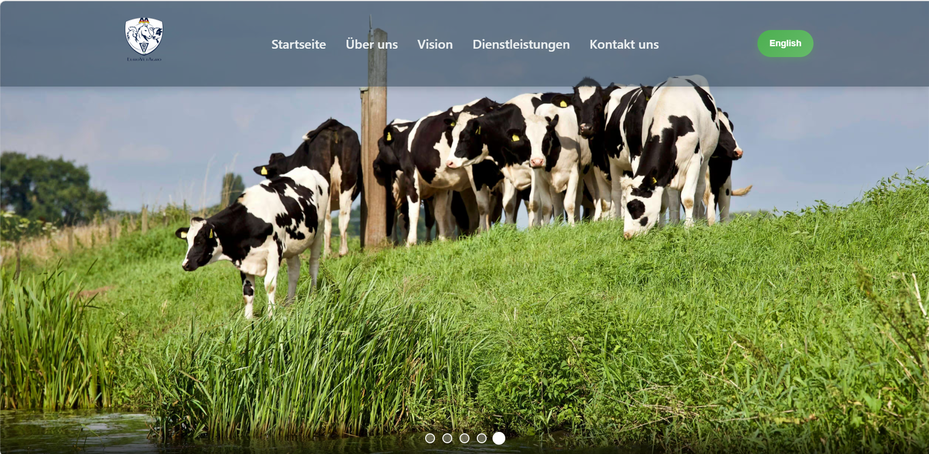 Portfolio website homepage