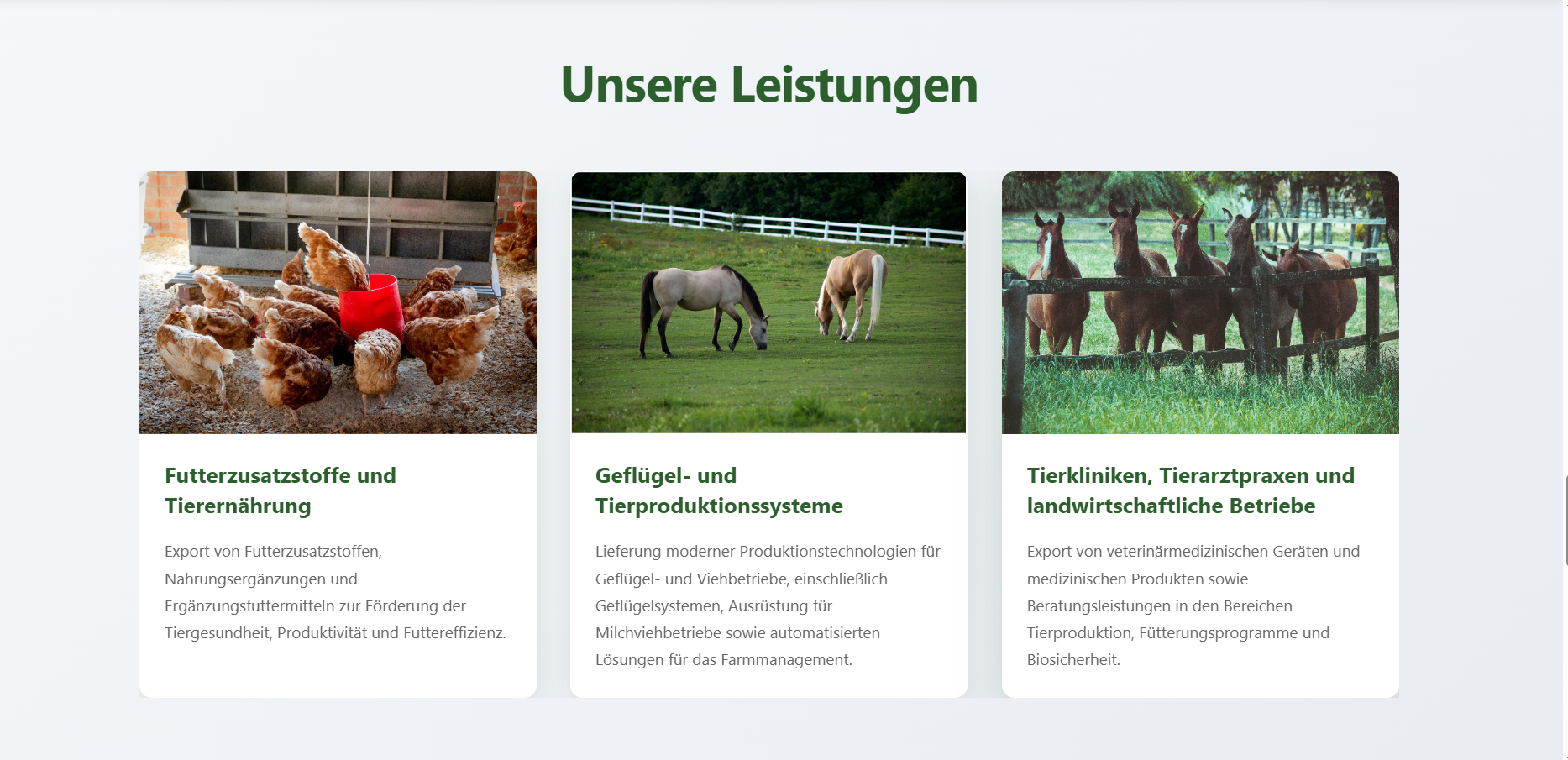 Portfolio projects section