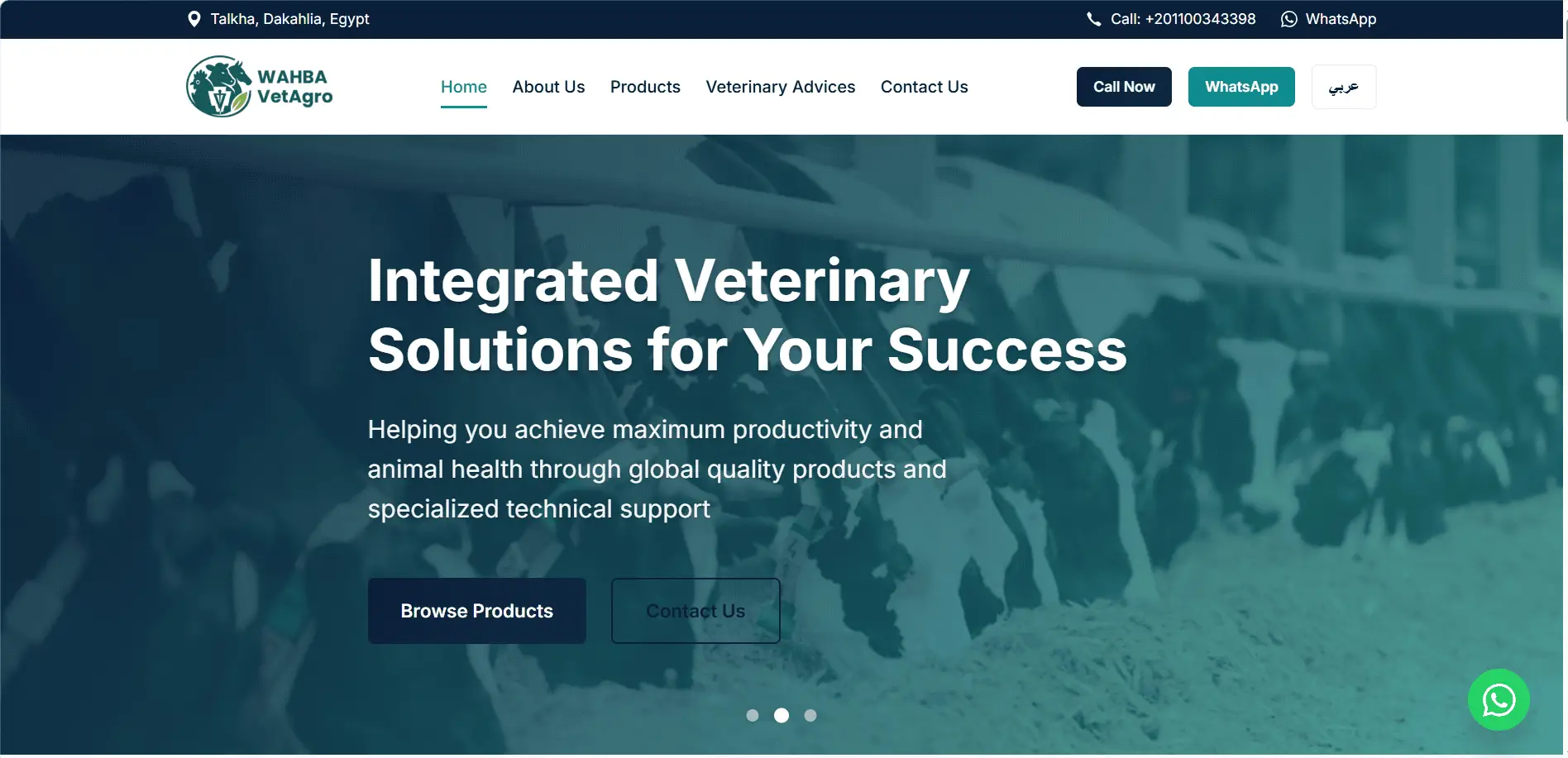 Portfolio website homepage