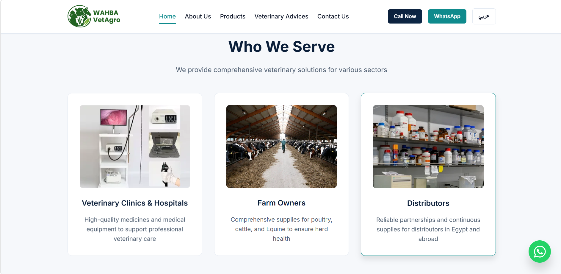 Portfolio projects section