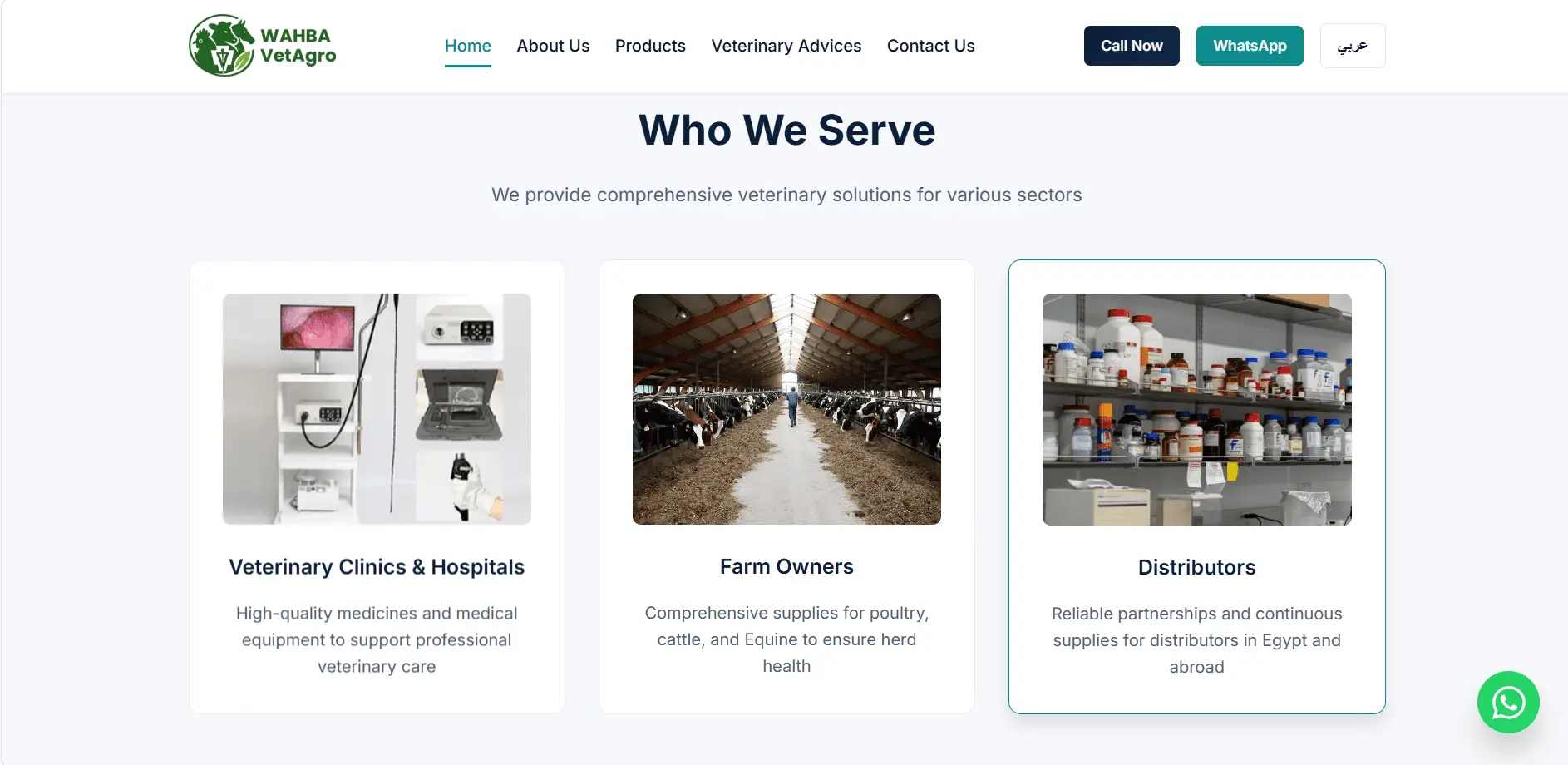 Portfolio projects section