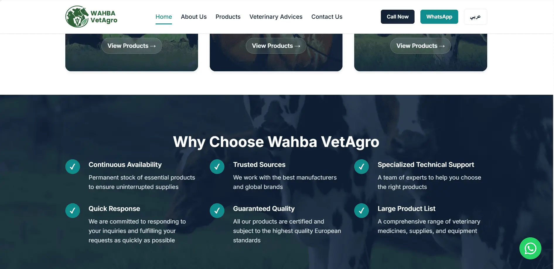 Portfolio contact section